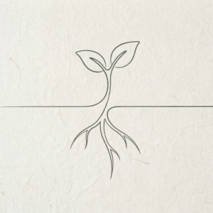 line drawing of plant and roots